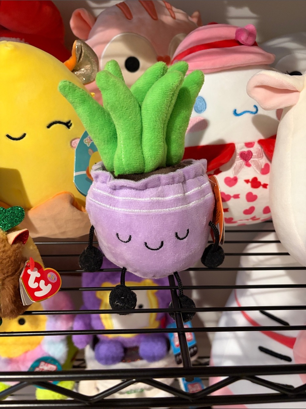 🇺🇸 Vera the Purple Aloe Vera Ploofs Snuggly Sprouts Plush Potted Plant BNWT